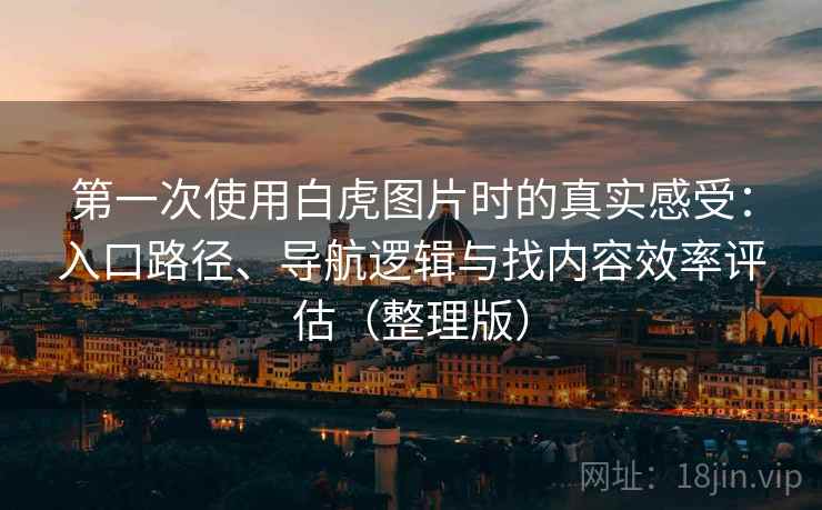 第一次使用白虎图片时的真实感受:入口路径、导航逻辑与找内容效率评估(整理版) 第一次使用白虎图片时的真实感受:入口路径、导航逻辑与找内容效率评估(整理版)