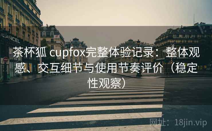 茶杯狐 cupfox完整体验记录：整体观感、交互细节与使用节奏评价（稳定性观察）