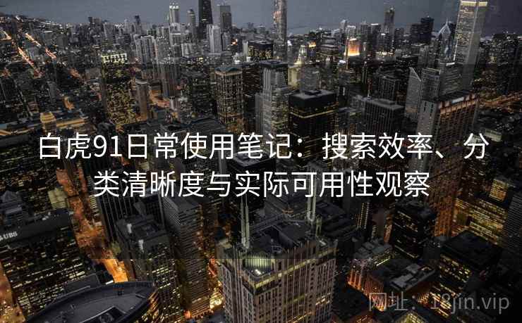 白虎91日常使用笔记：搜索效率、分类清晰度与实际可用性观察